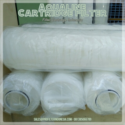 https://filtercartridgeindonesia.com/upload/Aqualine%20Cartridge%20Filter%20Filter%20Cartridge%20Indonesia_20201109150805_large2.jpg