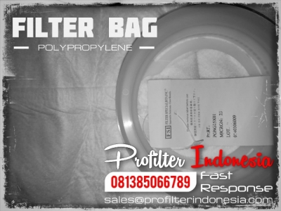 https://filtercartridgeindonesia.com/upload/FSI%20BPONG%20Cartridge%20Filter%20Bag%20Indonesia_20200610140405_20240924122102_large2.jpg