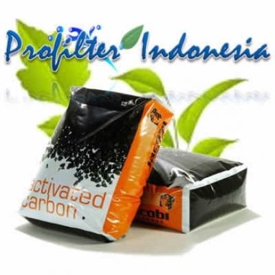 https://filtercartridgeindonesia.com/upload/Jacobi%20Aquasorb%202000%20Granular%20Coal%20Based%20Activated%20Carbon%20Iodine%201000%20profilterindonesia_20130608034729_20241029203945_large2.jpg
