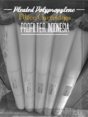 https://filtercartridgeindonesia.com/upload/PFI%20Pleated%20Filter%20Cartridge%20Indonesia_20180720025555_large2.jpg