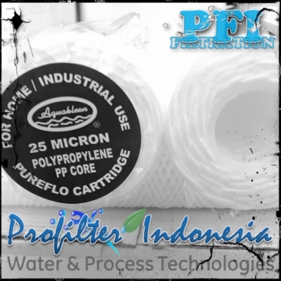 https://filtercartridgeindonesia.com/upload/PFI%20Pureflo%20Cartridge%20Filter%20Indonesia_20180813001004_large2.jpg
