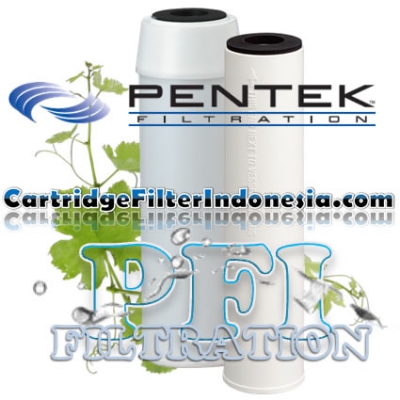 https://filtercartridgeindonesia.com/upload/Pentek%20CC-10%20Coconut%20Shell%20Granular%20Activated%20Carbon%20Cartridge%20Filter%20PN%20155155-43%20cartridgefilterindonesia_20130322180559_large2.jpg
