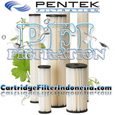 https://filtercartridgeindonesia.com/upload/Pentek%20S1-BB%20Pleated%20Cellulose%20Sediment%20Filter%20Cartridge%20Indonesia_20130322181850_large2.jpg