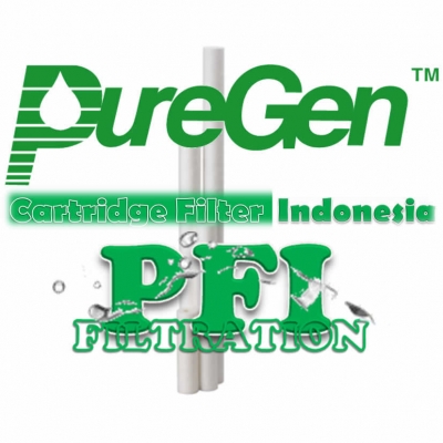 https://filtercartridgeindonesia.com/upload/Puregen%20PP%20Sediment%20Filter%20Cartridge%205%20micron%2030%20inch%20Indonesia_20130628093700_large2.jpg