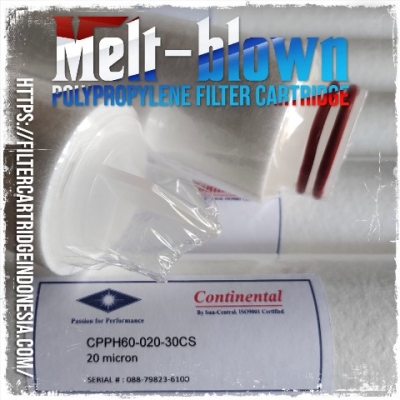 https://filtercartridgeindonesia.com/upload/continental%20cpph60%20filter%20cartridge%20sun%20central_20250414144032_large2.jpg
