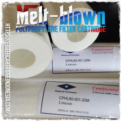https://filtercartridgeindonesia.com/upload/cphl60%20continental%20filter%20cartridge%20sun%20central_20250414152231_large2.jpg