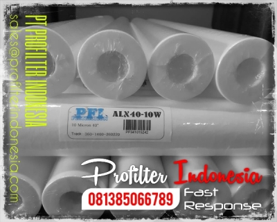 https://filtercartridgeindonesia.com/upload/d_d_d_ALX%20Cartridge%20Filter%20Indonesia_20200227111122_20200327173335_large2.jpg