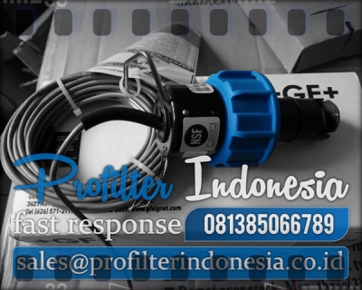 https://filtercartridgeindonesia.com/upload/d_d_d_GF%20Signet%20Paddlewheel%20Indonesia_20230523205551_20250128123201_large2.jpg