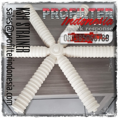 https://filtercartridgeindonesia.com/upload/d_d_d_d_KSH%20SK8%20Star%20Strainer%20Indonesia_20200211094003_20200428132702_20250729223728_large2.jpg