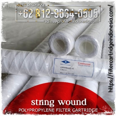 https://filtercartridgeindonesia.com/upload/d_d_d_d_d_cppw60%20string%20wound%20filter%20cartridge%20continental_20250320194029_large2.jpg