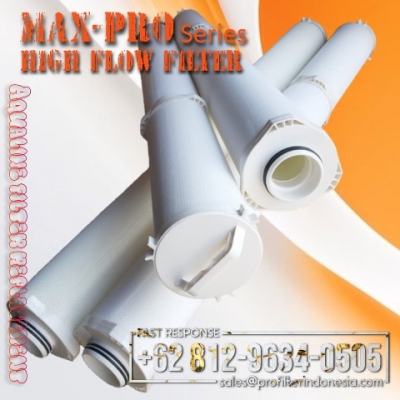 https://filtercartridgeindonesia.com/upload/max-pro%20high%20flow%20filter%20cartridge%20aqualine_20250225011458_large2.jpg