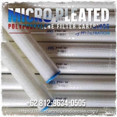 https://filtercartridgeindonesia.com/upload/polyester%20pleated%20filter%20cartridge_20250406145334_large2.jpg